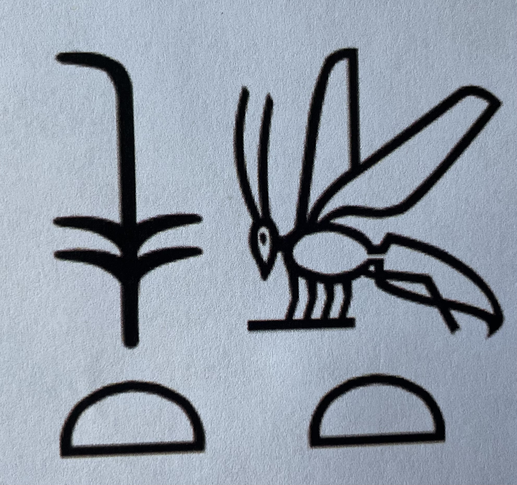 Dies sind die Altägyptischen Hieroglyphen für den 