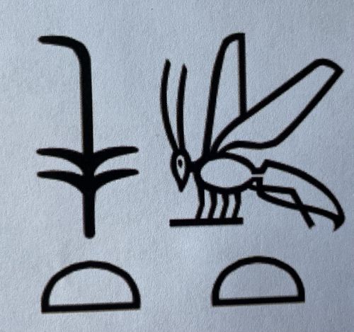 Dies sind die Altägyptischen Hieroglyphen für den "König von Ober- und Unterägypten".